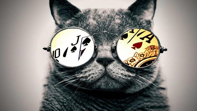 Rust、Go、Zig、Dart、C3、C++、C，仓颉、moonbit、凹语言哪个语言更有未来？